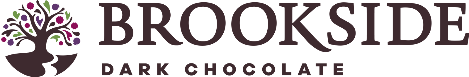 Socola Brookside nhân việt quất Dark Chocolate Acai & Blueberry, 907g